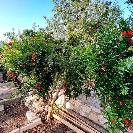 شقة فندقية Duru Homes *