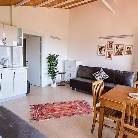 Duru Homes داتْشا