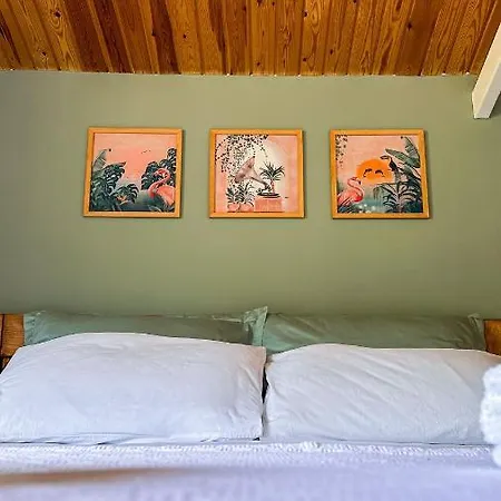 Duru Homes * داتْشا