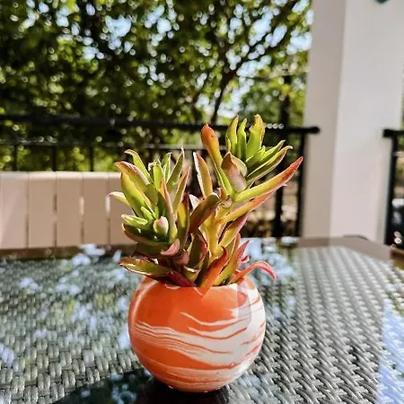 Aparthotel Duru Homes Datça